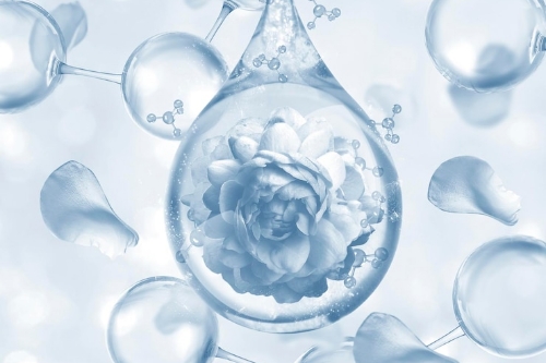 コラーゲン水（加水分解コラーゲンエキス）